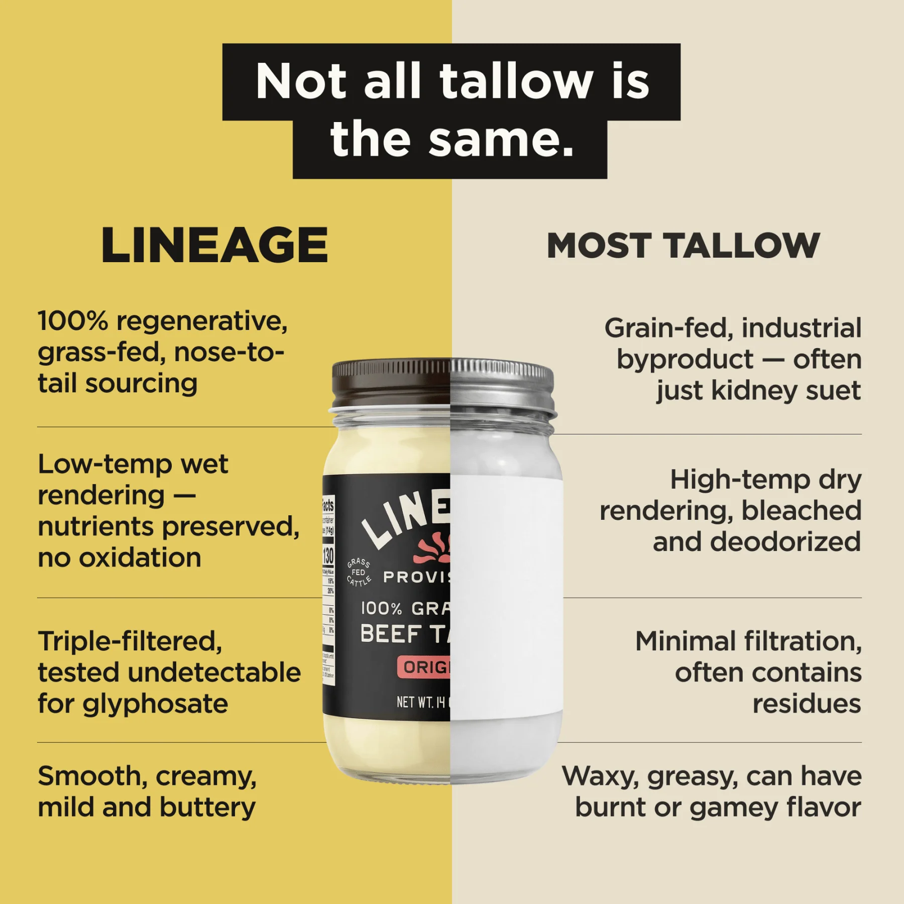 100% Grass-Fed Beef Tallow - Image 3
