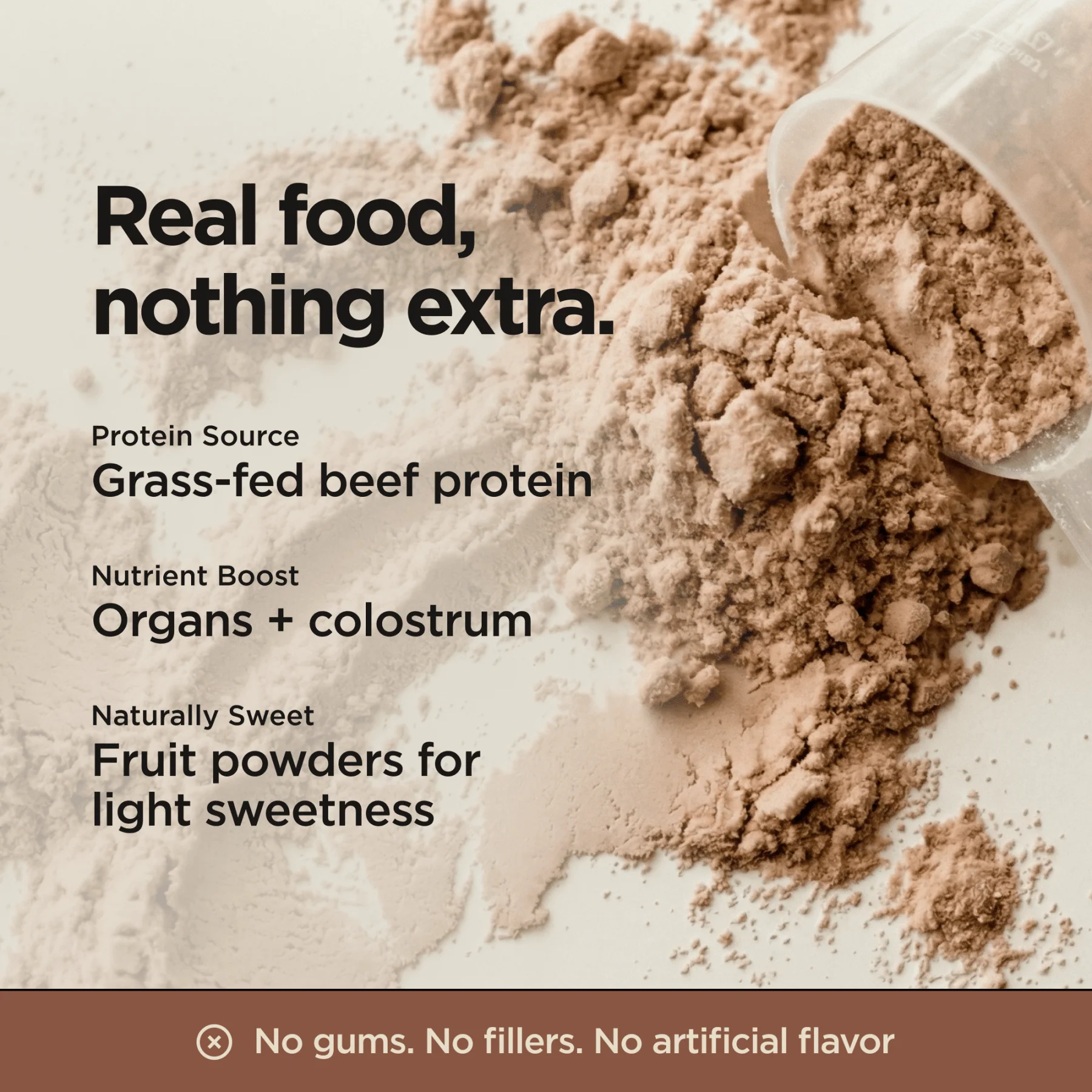 Animal-Based Complete Protein (Chocolate) - Image 6