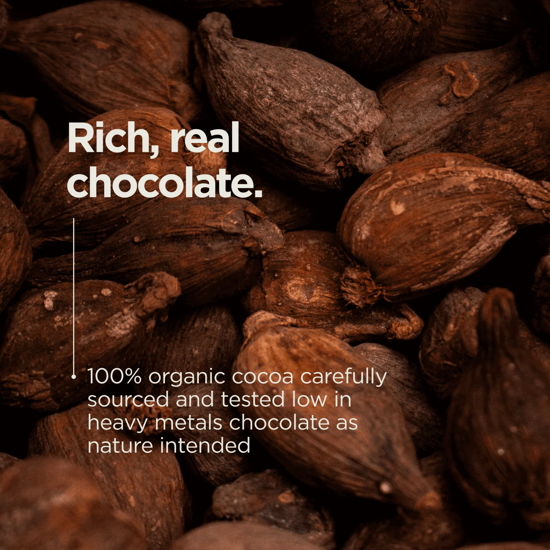 Animal-Based Complete Protein (Chocolate) - Image 8