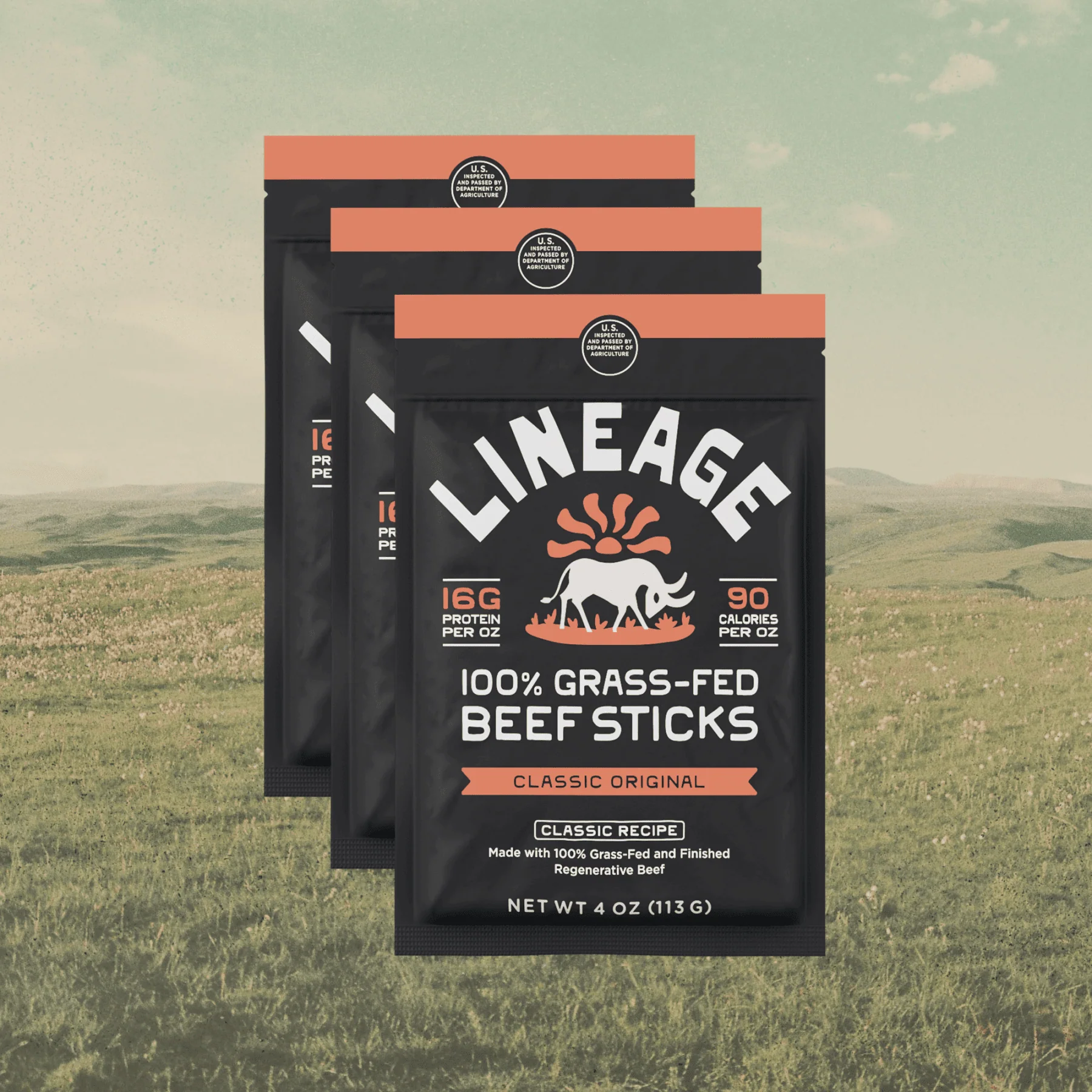 100% Grass-Fed Beef Sticks – Original Flavor - Image 12