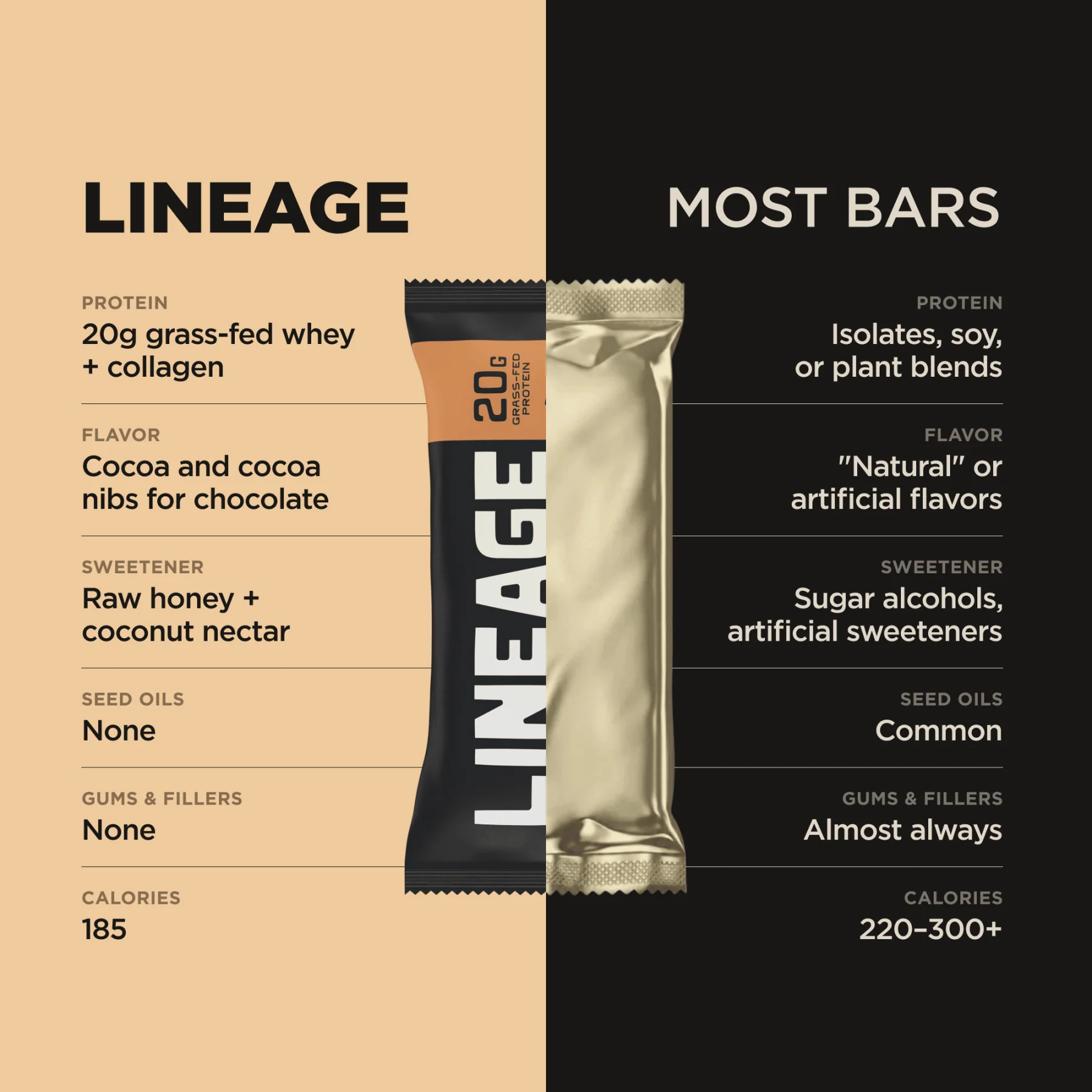 The Lineage Protein Bar (Chocolate) - Image 4
