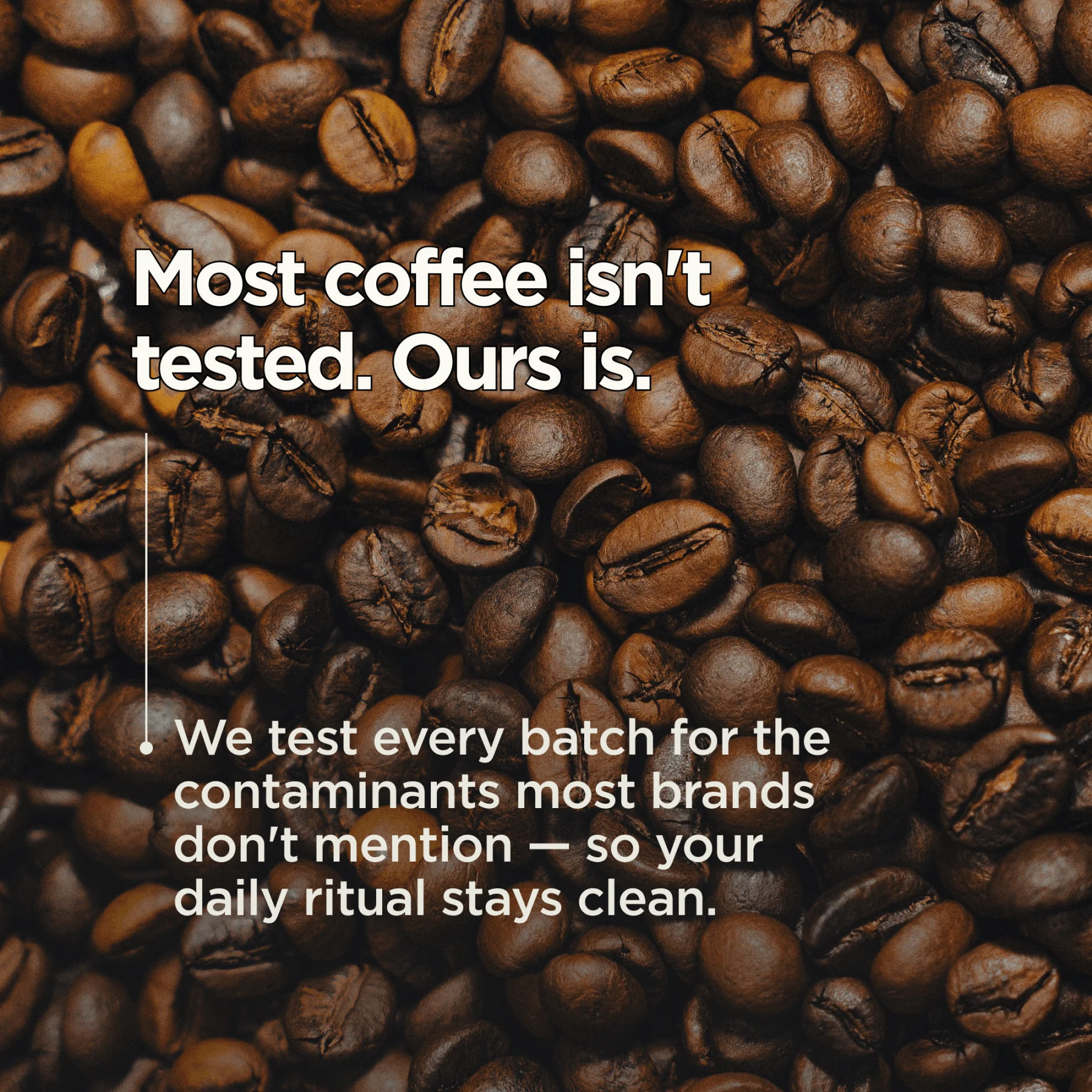 Rewild Roast Coffee - Image 4