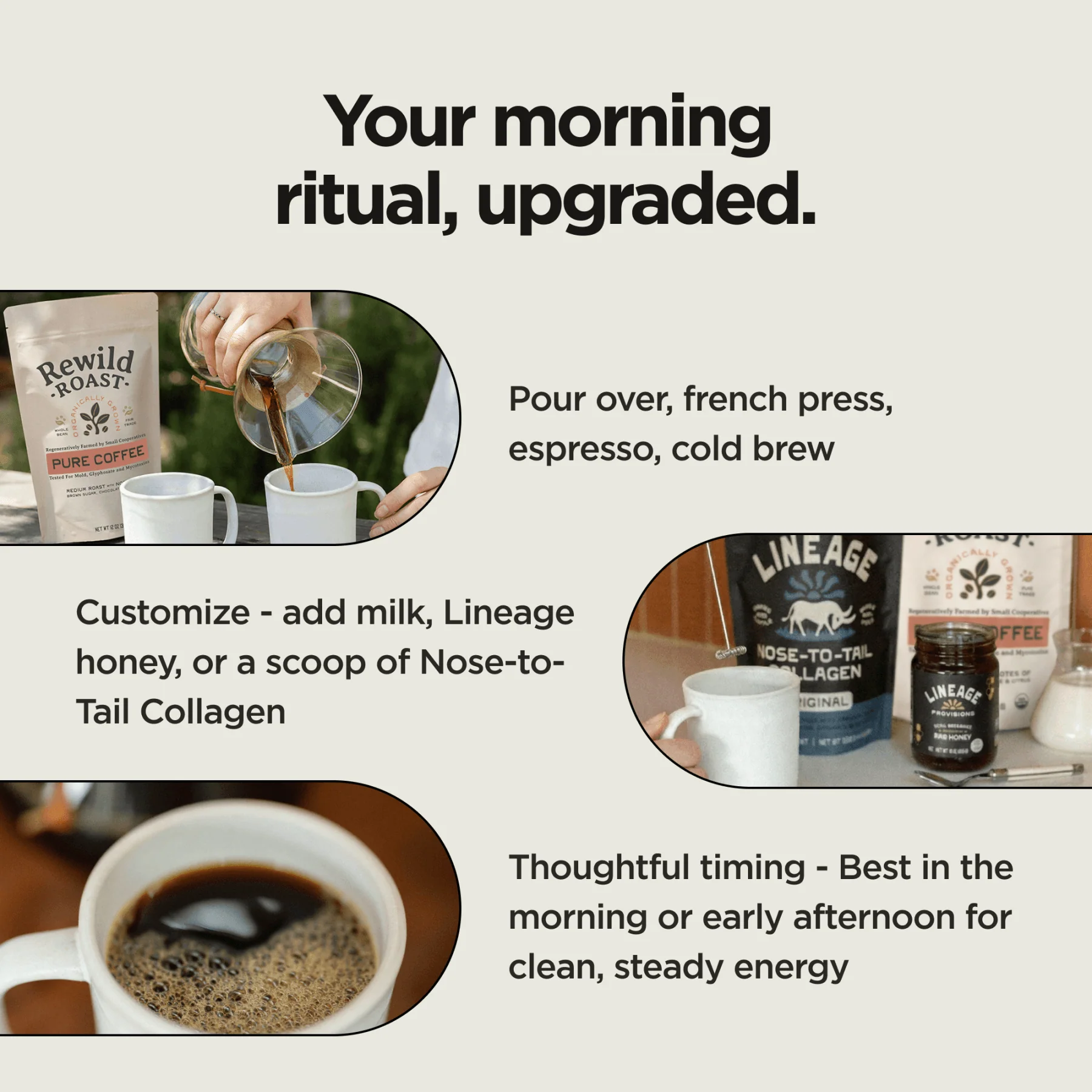 Rewild Roast Coffee - Image 5