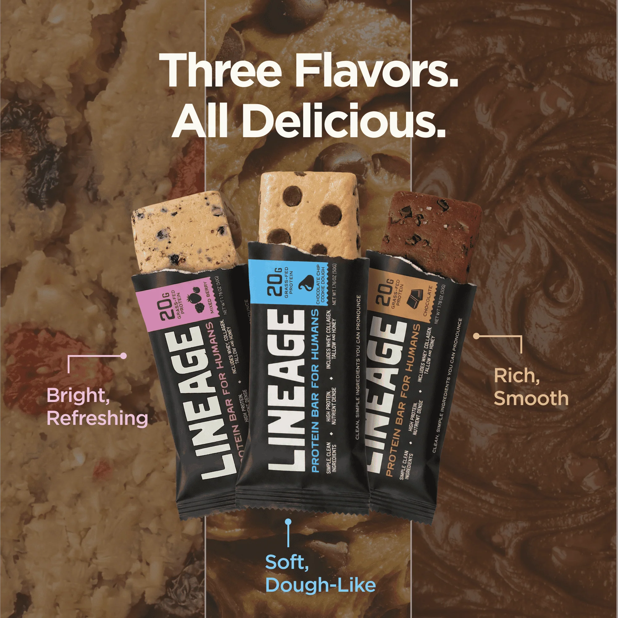 The Lineage Protein Bar (Chocolate Chip Cookie Dough) - Image 3