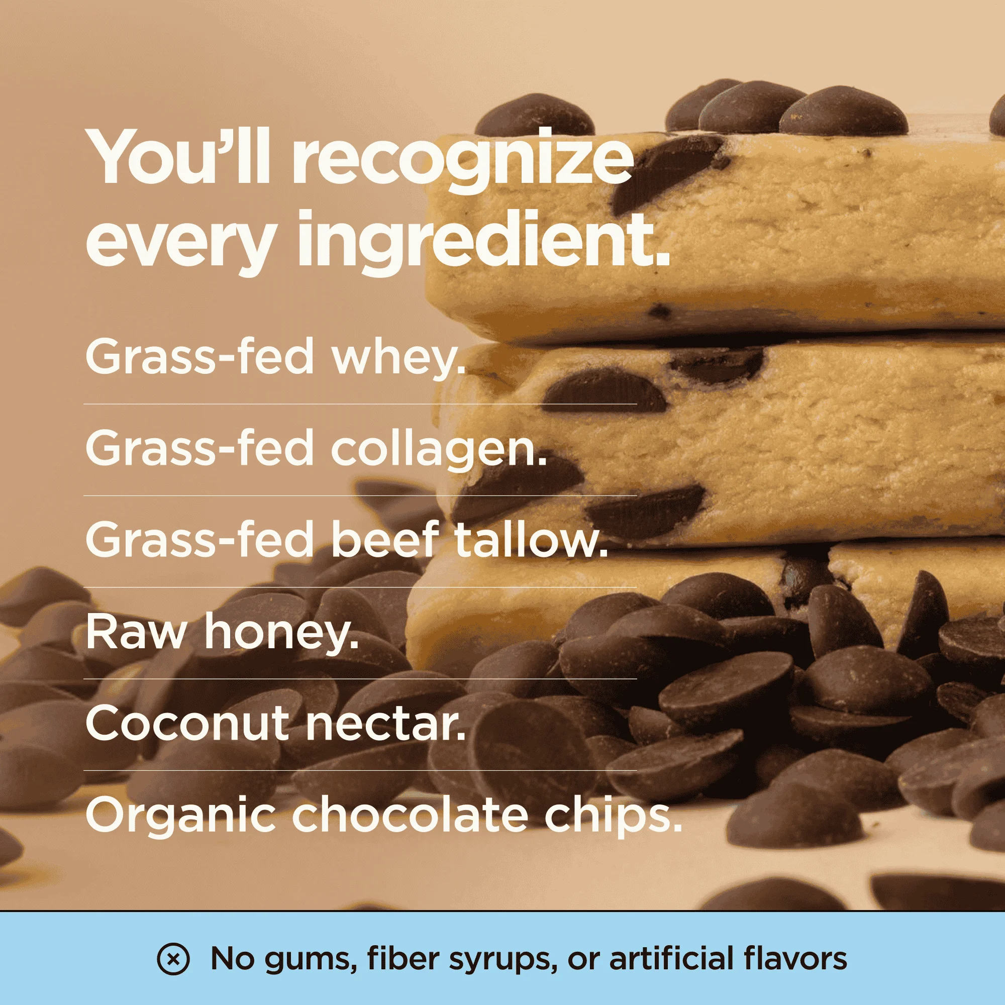 The Lineage Protein Bar (Chocolate Chip Cookie Dough) - Image 4